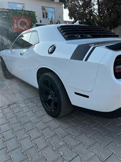 دودج تشالنجر
